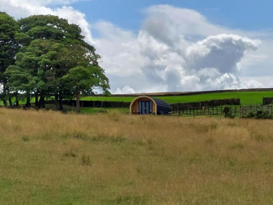 High Whashton Springs Glamping Pod, Richmond Yorks Διαμέρισμα Εξωτερικό φωτογραφία